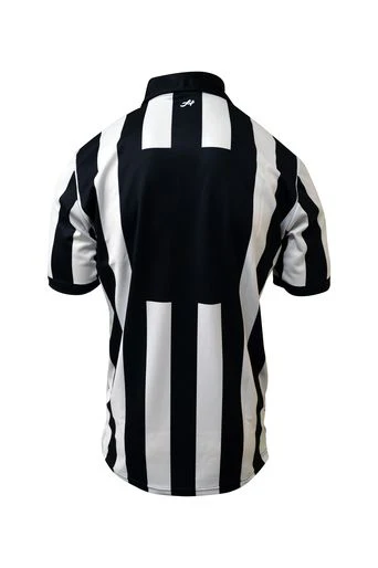 Honig's 2" Stripe Short Sleeve Jersey With Position/number Placket on back. - Image 3